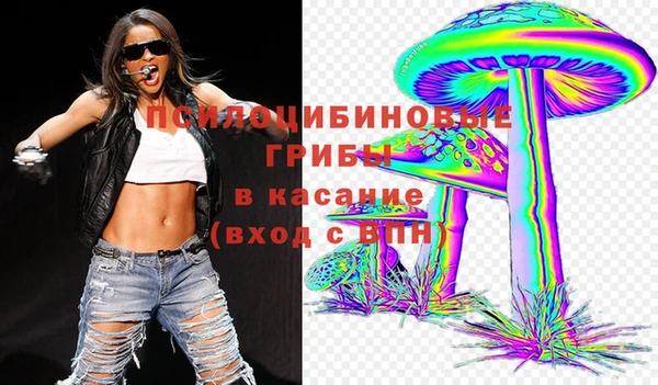 apvp Мегион