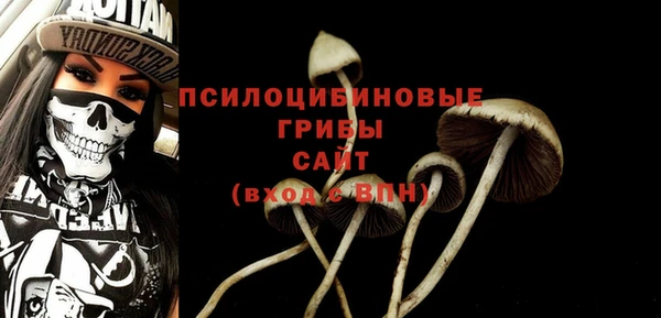 apvp Мегион