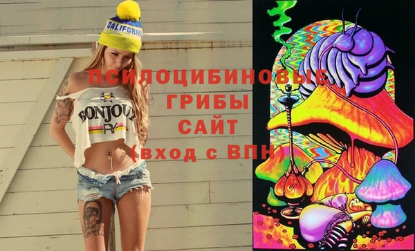 ешки Медногорск