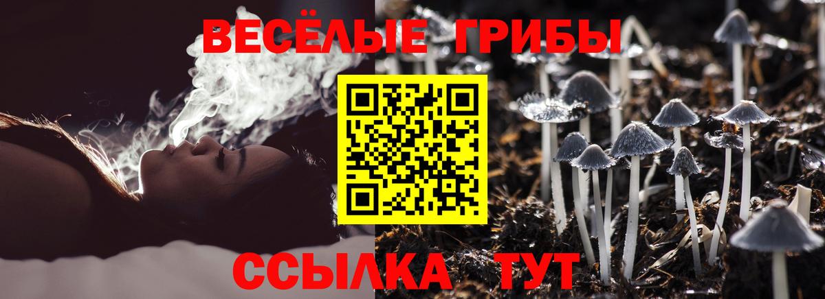 Ухта  Псилоцибиновые грибы MAGIC MUSHROOMS  Галлюциногенные грибы Magic Shrooms  Вход с VPN 